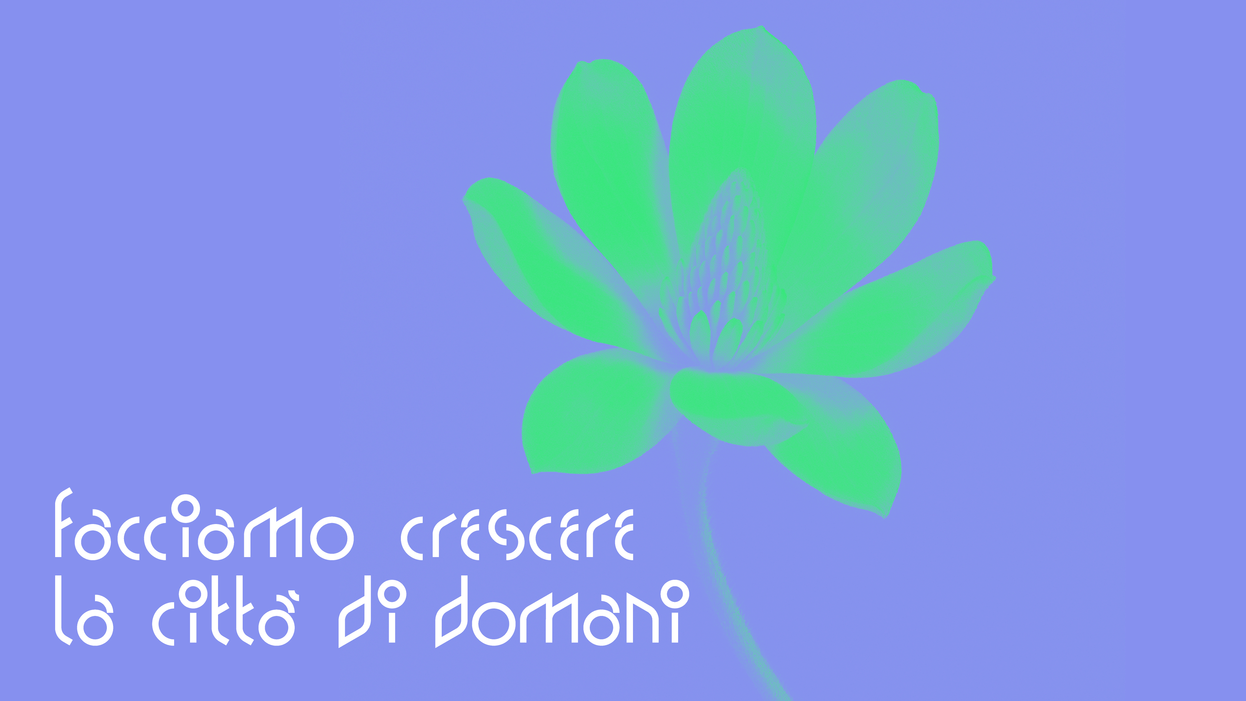 grafica_manifesto